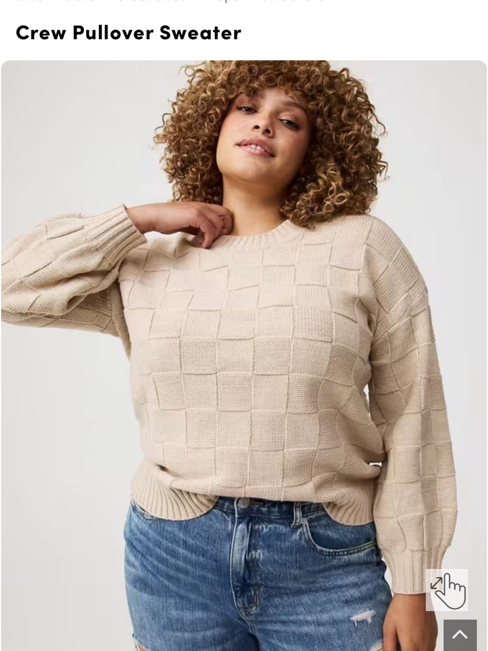 torrid Beige Textured Crewneck Sweater